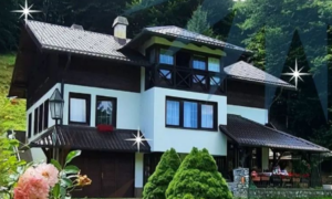 فلل للبيع في البوسنة