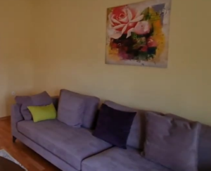 شقق شهرية في مناطق هادئة